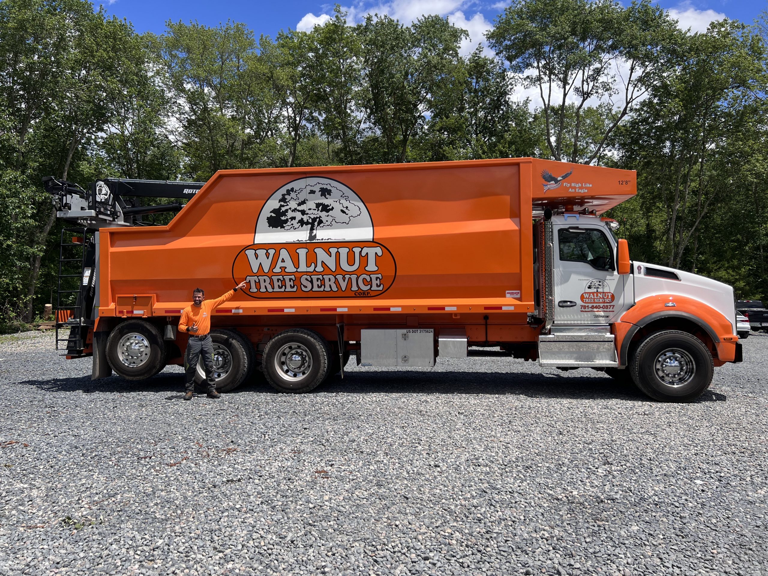 walnut tree truck