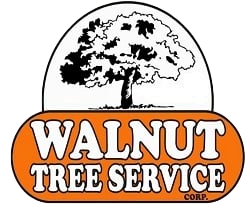 Walnut Tree Service Logo