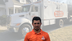 Luis Tree Care Professional