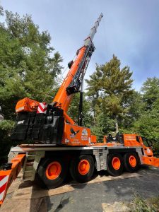 tree removal vehicle